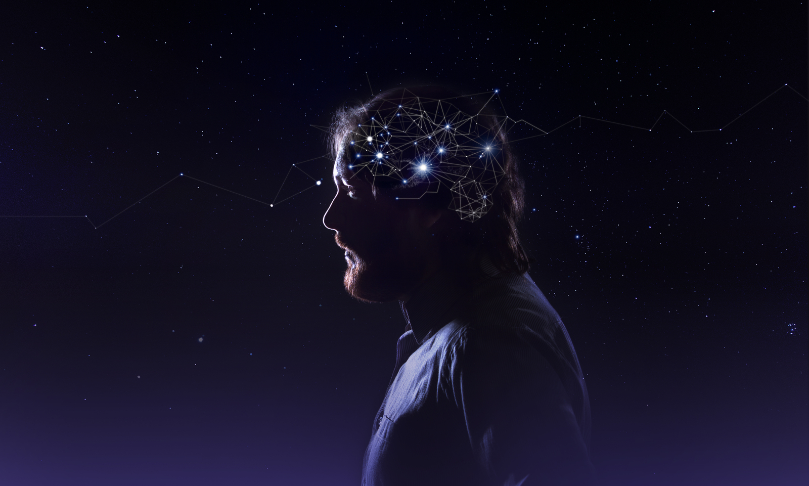 Inside the Mind of a Fraudster: Profiling a Criminal