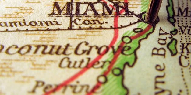 The State of Coconut Grove January 2026