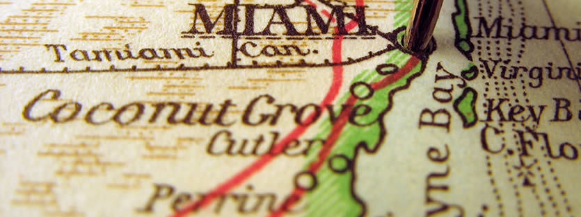 The State of Coconut Grove January 2026