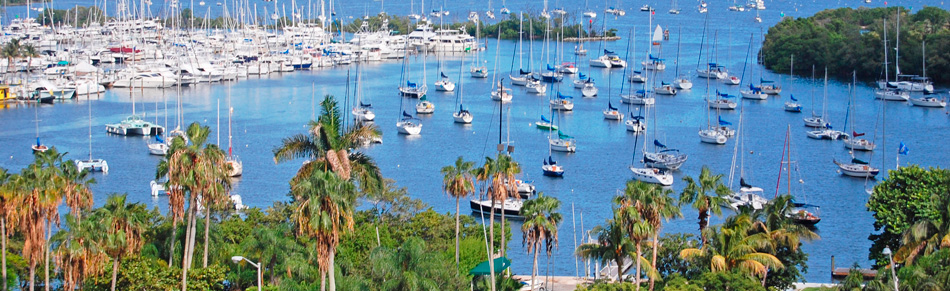 The State of Coconut Grove November 2025