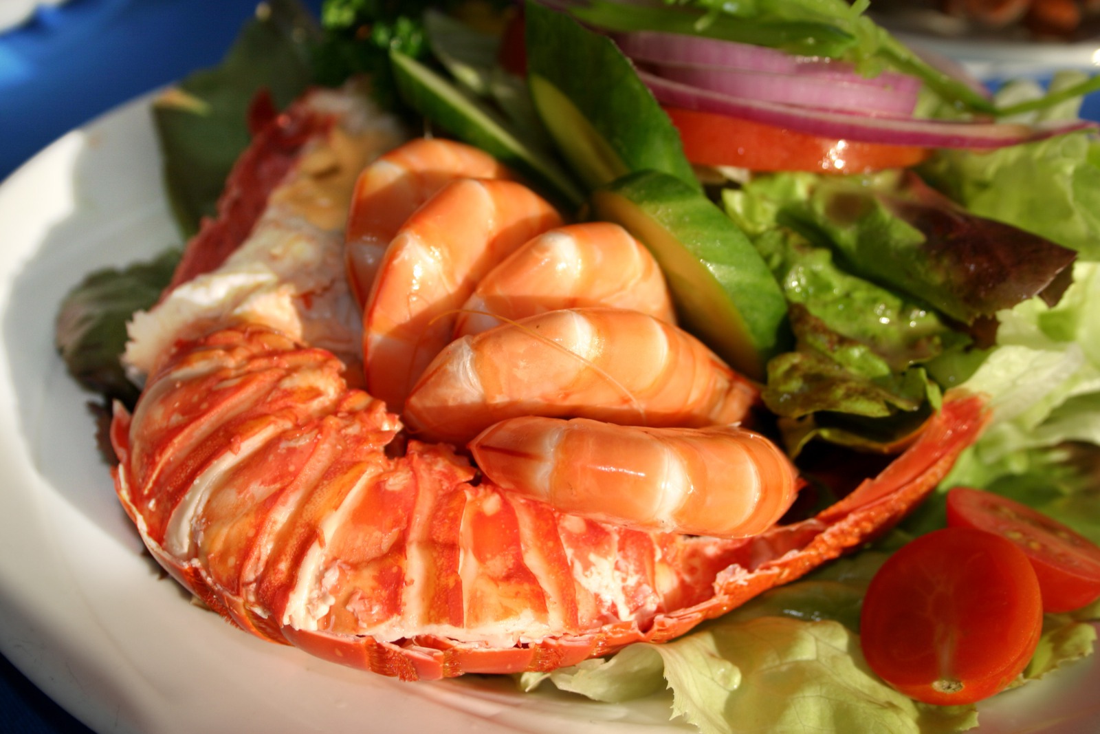 South Beach Seafood Festival