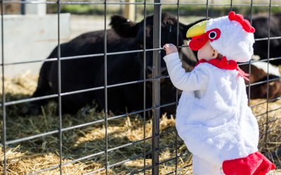 Halloween at the Zoo: Zoo Boo!