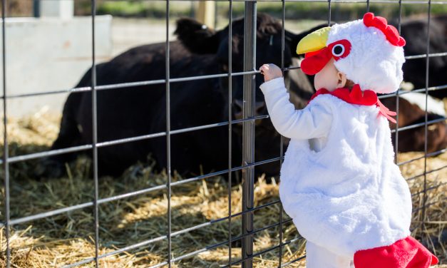 Halloween at the Zoo: Zoo Boo!