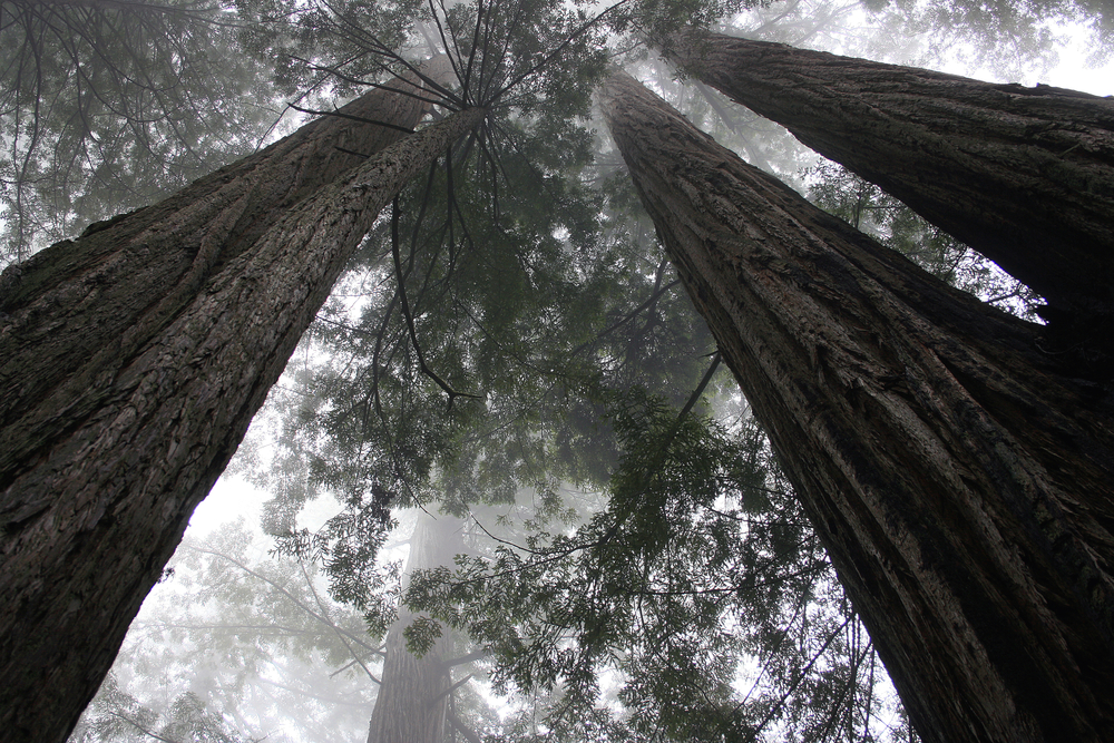 The Law of Respect – Miami Style