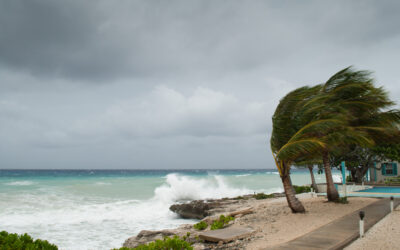 The Impact of Climate Change on Miami’s Economy