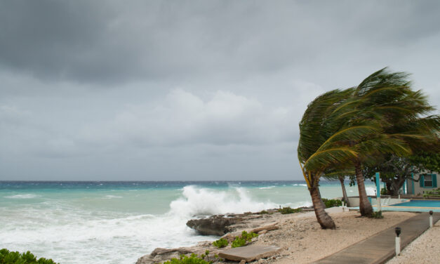 The Impact of Climate Change on Miami’s Economy