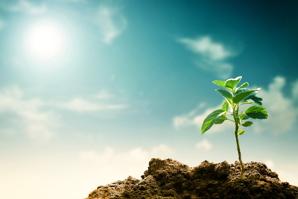 The Miami Real Estate Market and the Impact of Climate Change