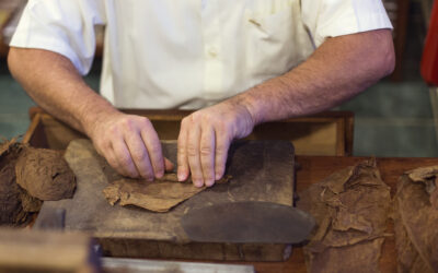 Preserving the Art of Hand-Rolled Cigars: Miami’s Masterful Torcedores