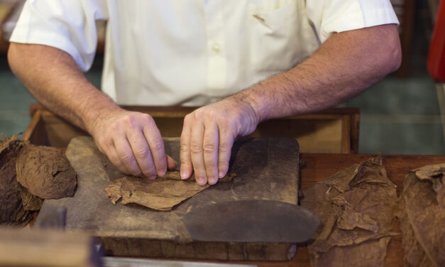 Preserving the Art of Hand-Rolled Cigars: Miami’s Masterful Torcedores