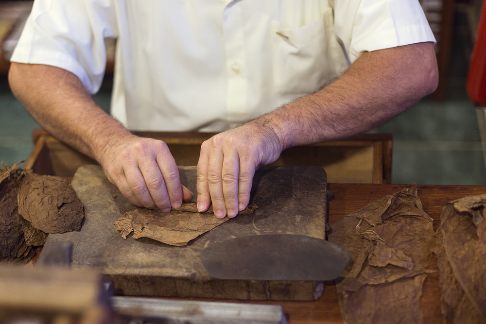 Preserving the Art of Hand-Rolled Cigars: Miami’s Masterful Torcedores