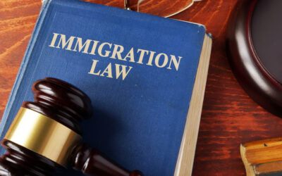 Elina Santana, Immigration Attorney