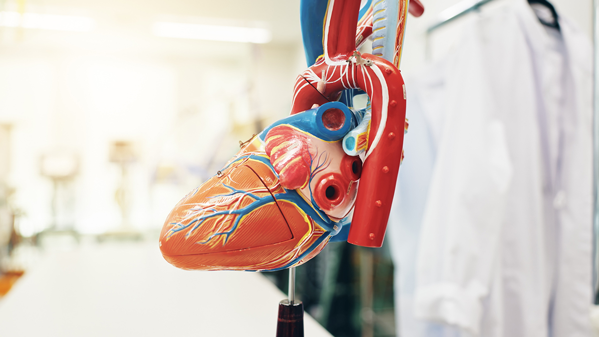 AISAP and Amavita Heart and Vascular Health Bring Cardiac Diagnostics to Underserved Florida Communities with AI-Powered Point-of-Care Ultrasound