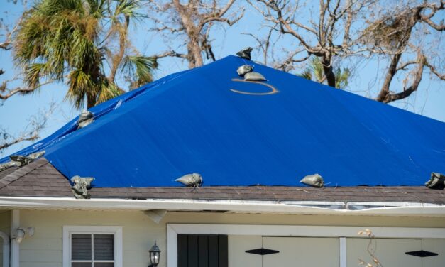 Hurricane Mitigation