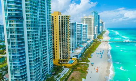 Miami Real Estate Agent Carie Negron