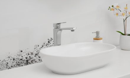 Miami Mold Specialists