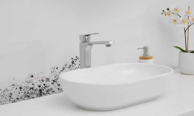 Miami Mold Specialists