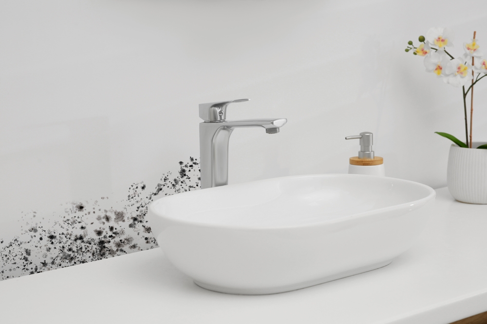 Miami Mold Specialists