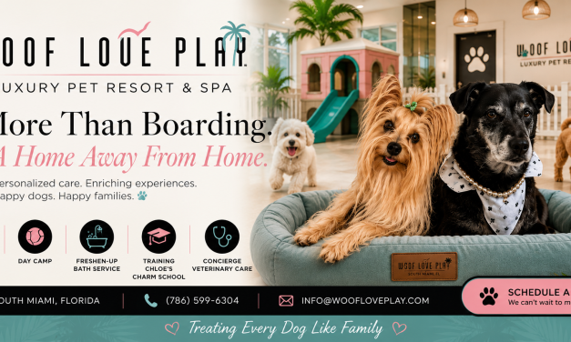 Why Personalized Pet Care Matters More Than Ever