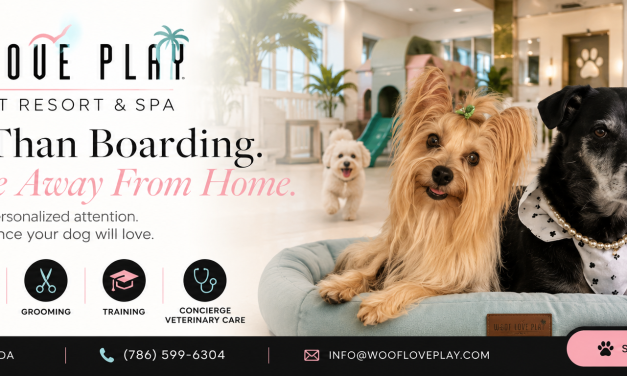 Why Personalized Pet Care Matters More Than Ever