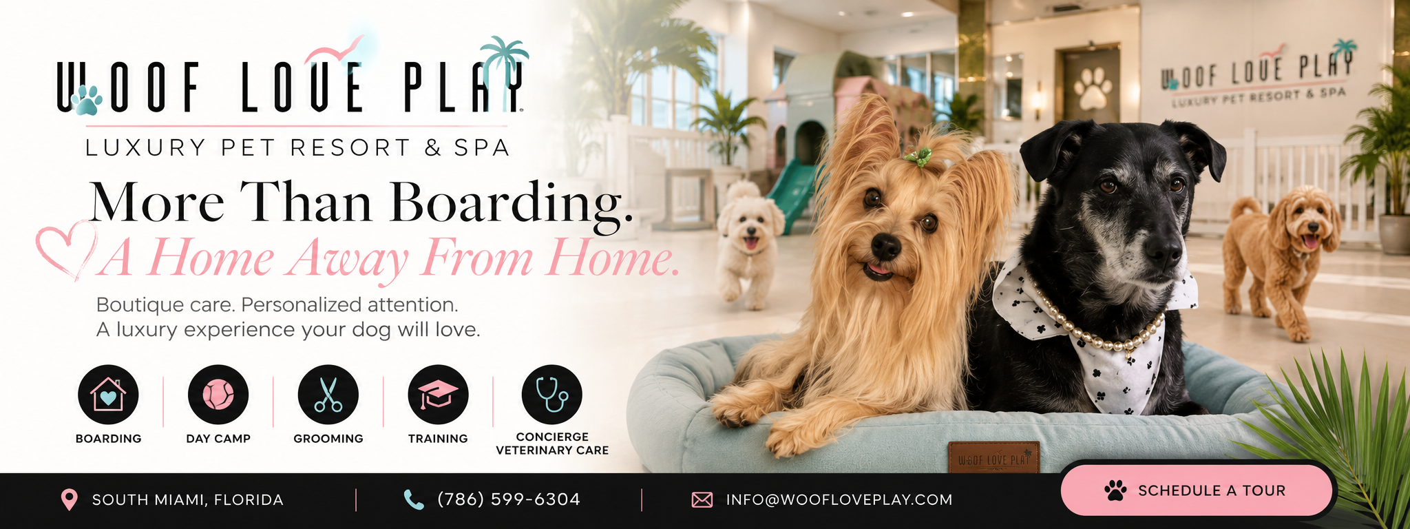 Why Personalized Pet Care Matters More Than Ever