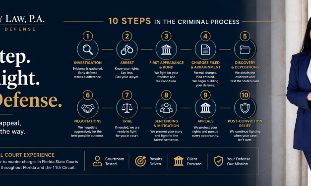 Carolle El-Naffy – From Investigation to Appeal