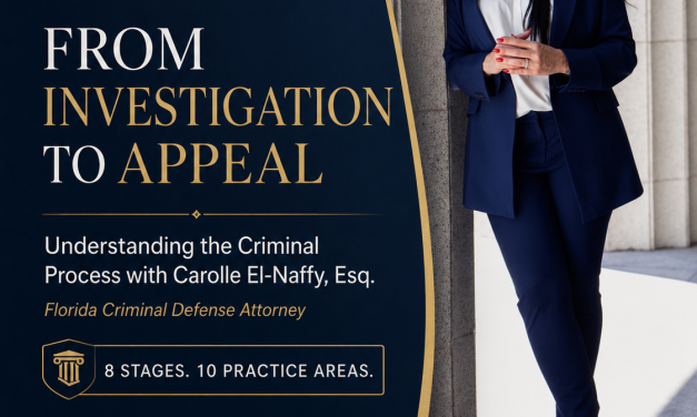Carolle El-Naffy – From Investigation to Appeal